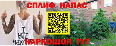молекула духа Шахты