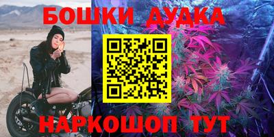 тгк Шебекино