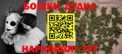 молекула духа Шахты