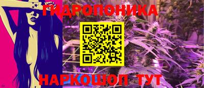 молекула духа Шахты